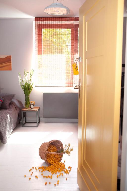 Republika Sloneczna Bed & Breakfast Poznań Rom bilde